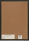 Fragilaria oceanica Cleve (de-Toni-Nr.: Genus 73, Species 2716) Zeichnungen Sammlung Grunow Mappe 02938 (Herbarium_W_Grunow_drawings_Folder_02938)